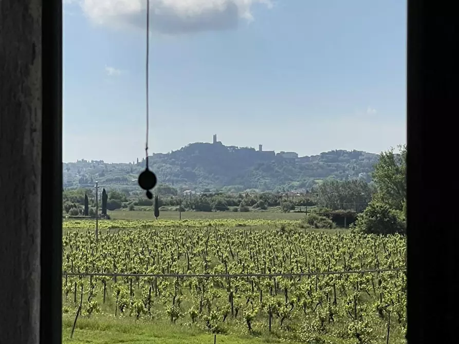 Immagine 64 di Azienda agricola in vendita  a San Miniato