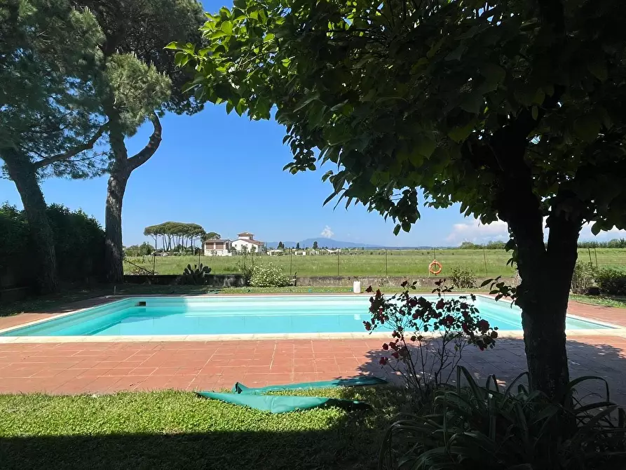 Immagine 4 di Azienda agricola in vendita  a San Miniato