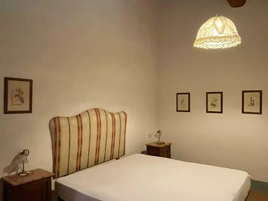 Immagine 72 di Azienda agricola in vendita  a San Miniato