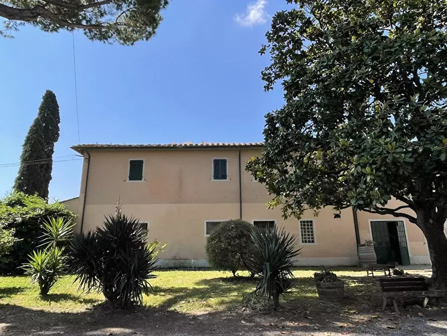 Immagine 82 di Azienda agricola in vendita  a San Miniato