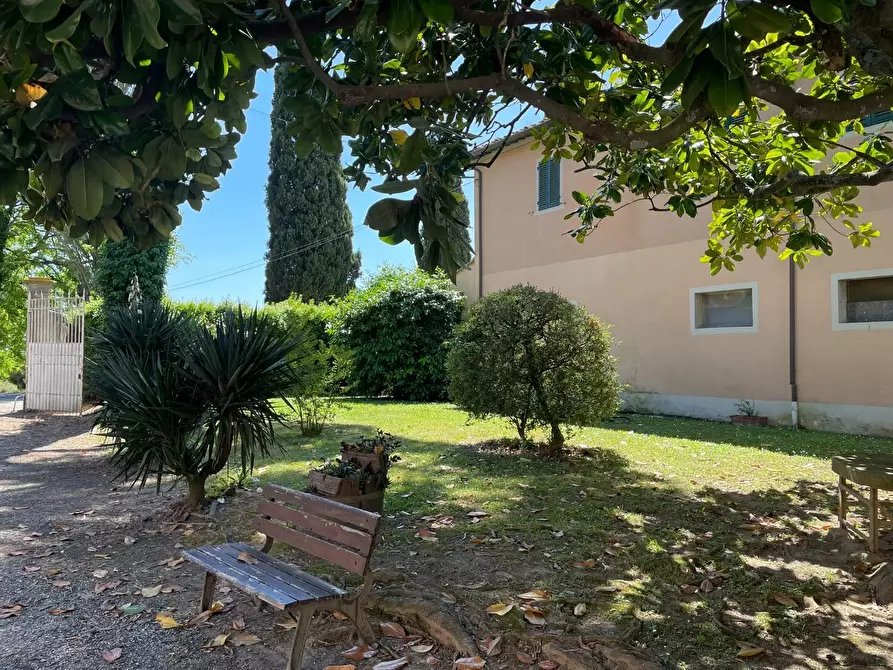 Immagine 85 di Azienda agricola in vendita  a San Miniato