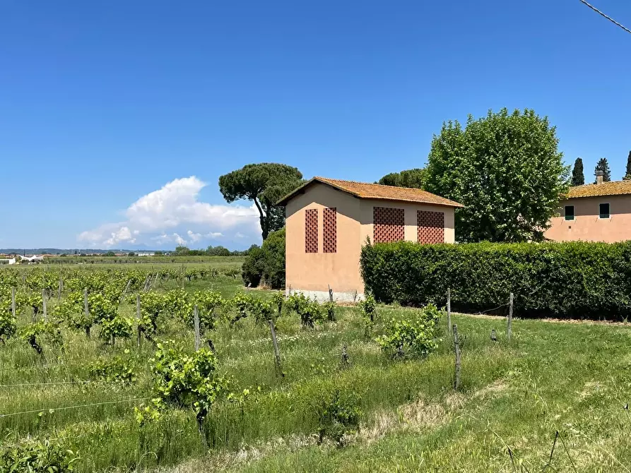 Immagine 92 di Azienda agricola in vendita  a San Miniato