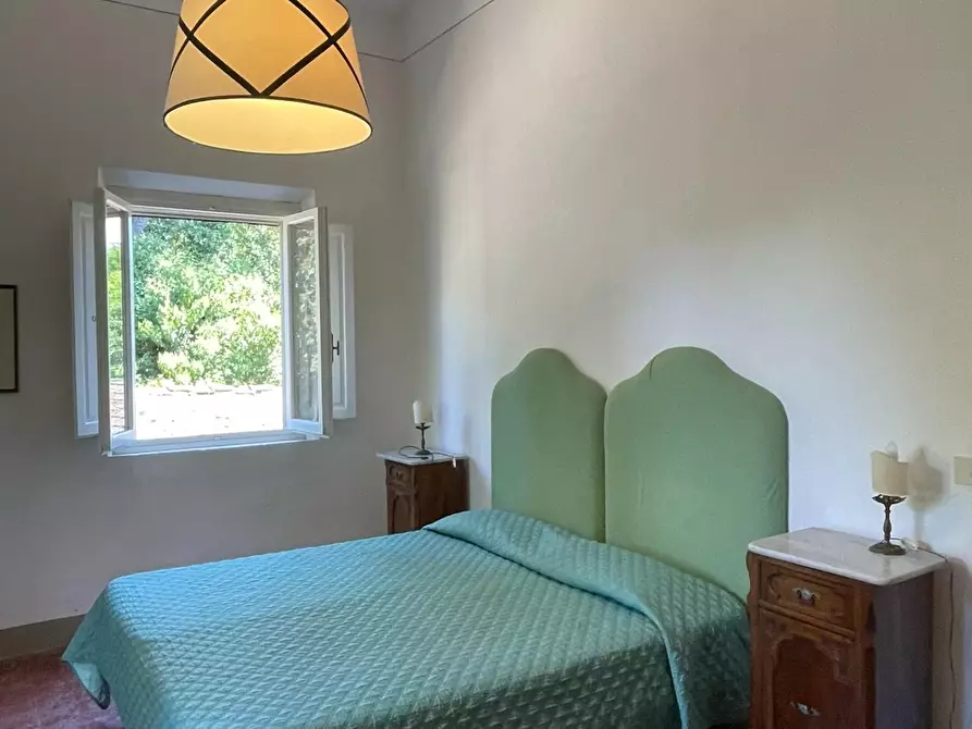 Immagine 28 di Azienda agricola in vendita  a San Miniato