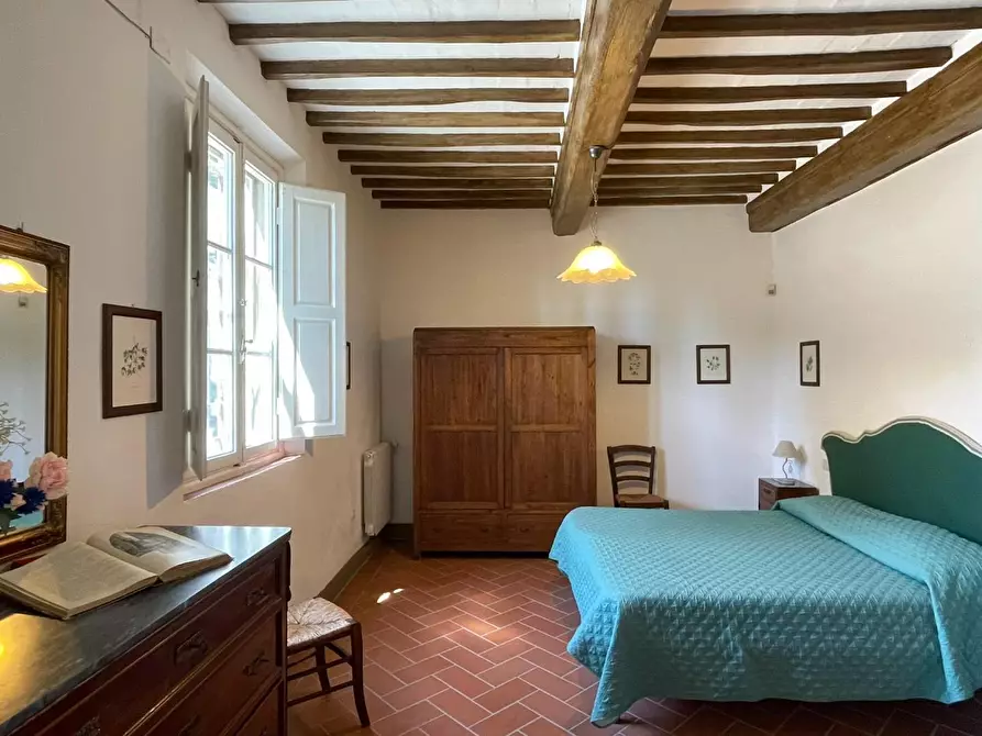 Immagine 15 di Azienda agricola in vendita  a San Miniato