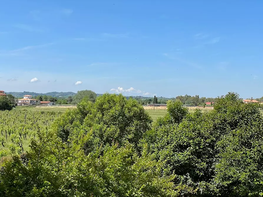Immagine 38 di Azienda agricola in vendita  a San Miniato
