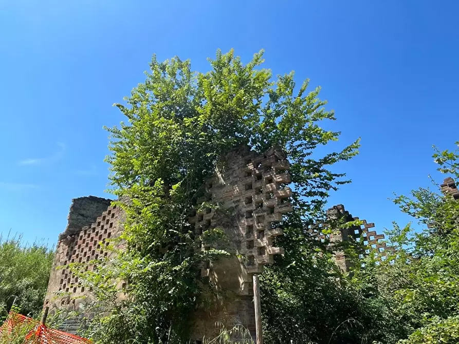 Immagine 108 di Azienda agricola in vendita  a San Miniato