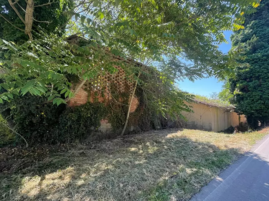 Immagine 95 di Azienda agricola in vendita  a San Miniato