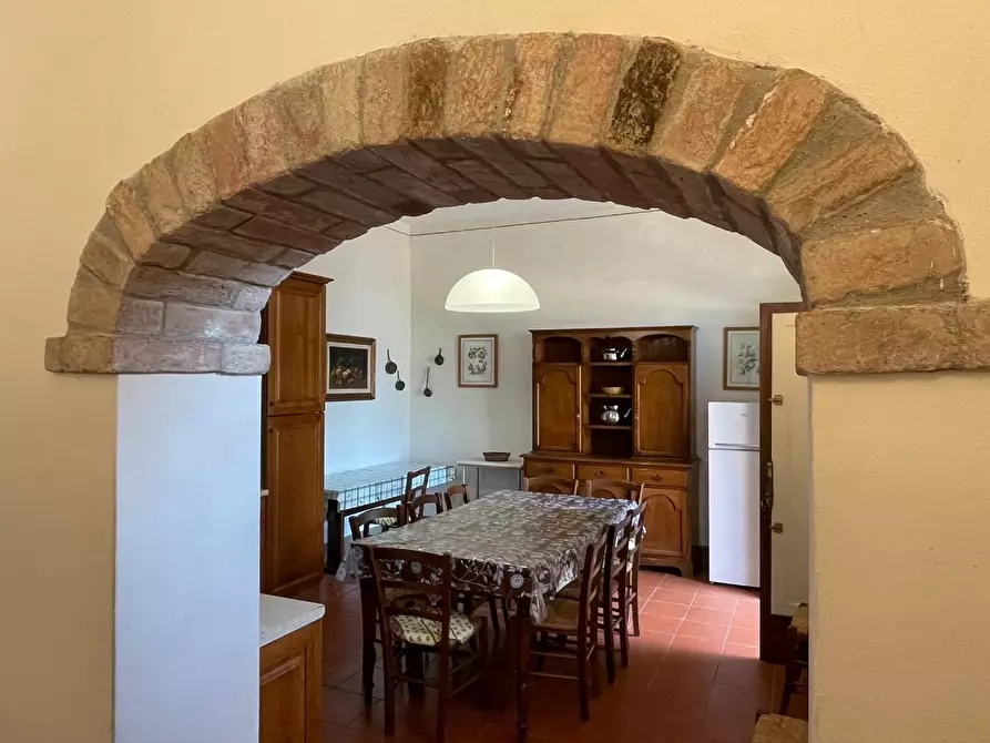 Immagine 49 di Azienda agricola in vendita  a San Miniato