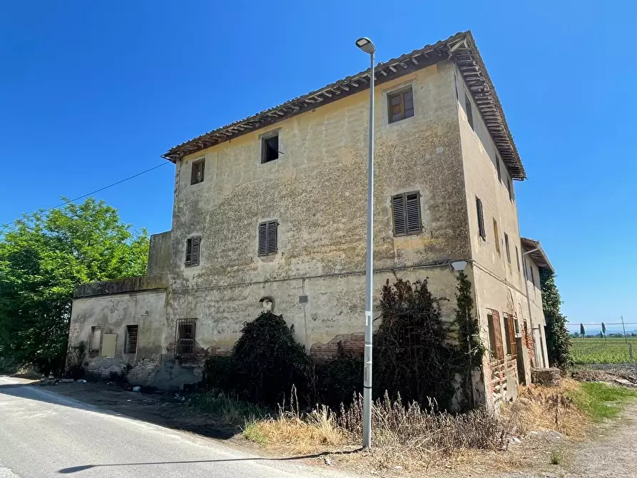 Immagine 99 di Azienda agricola in vendita  a San Miniato