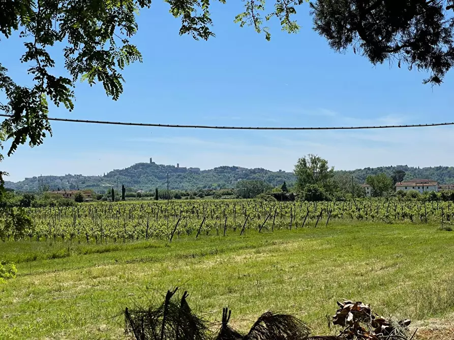 Immagine 89 di Azienda agricola in vendita  a San Miniato