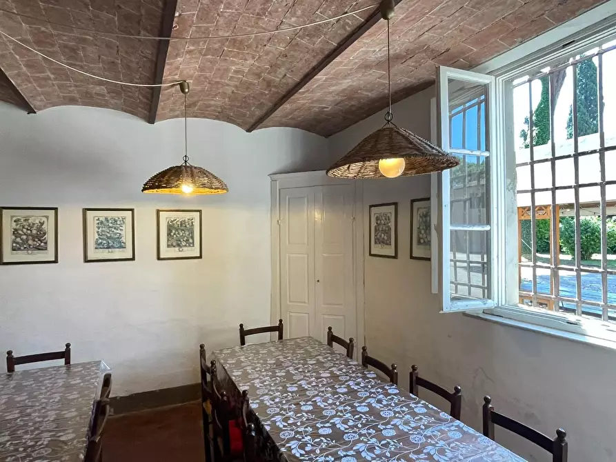 Immagine 11 di Azienda agricola in vendita  a San Miniato