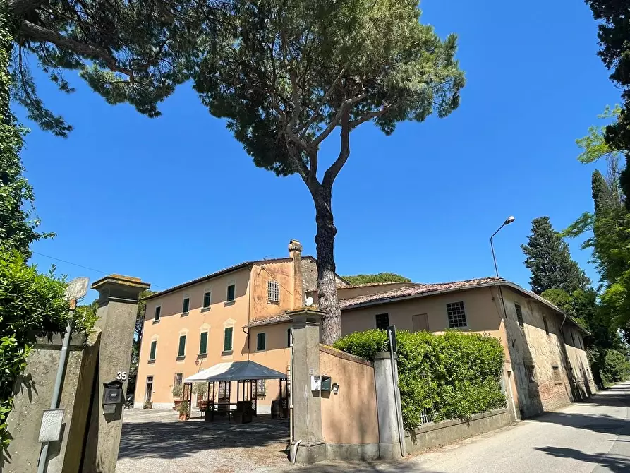 Immagine 87 di Azienda agricola in vendita  a San Miniato