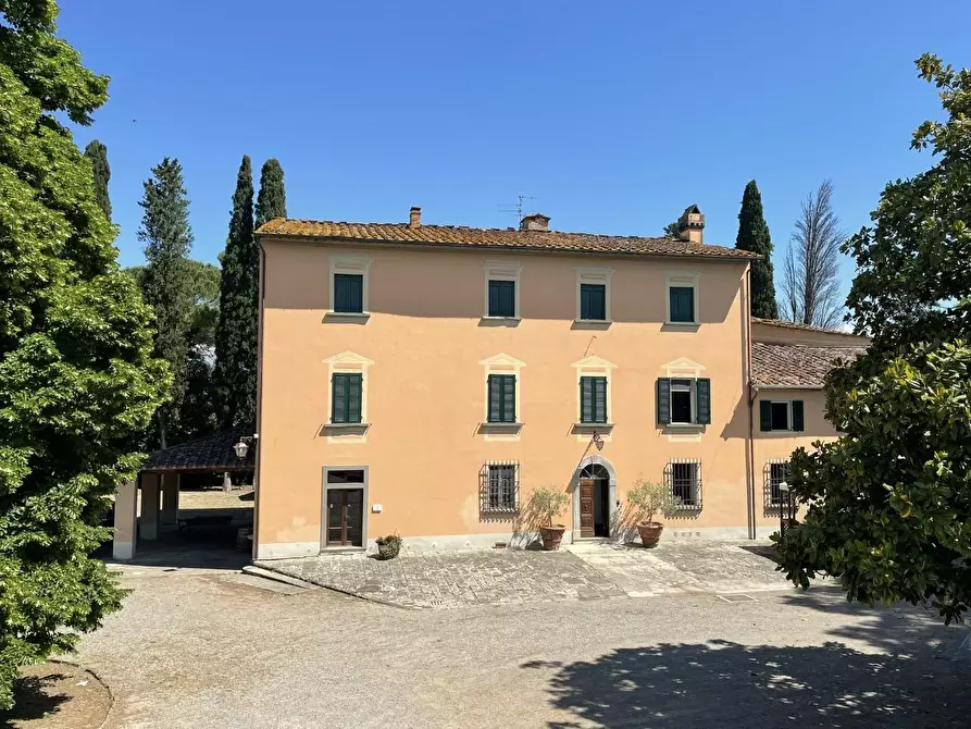 Immagine 1 di Azienda agricola in vendita  a San Miniato