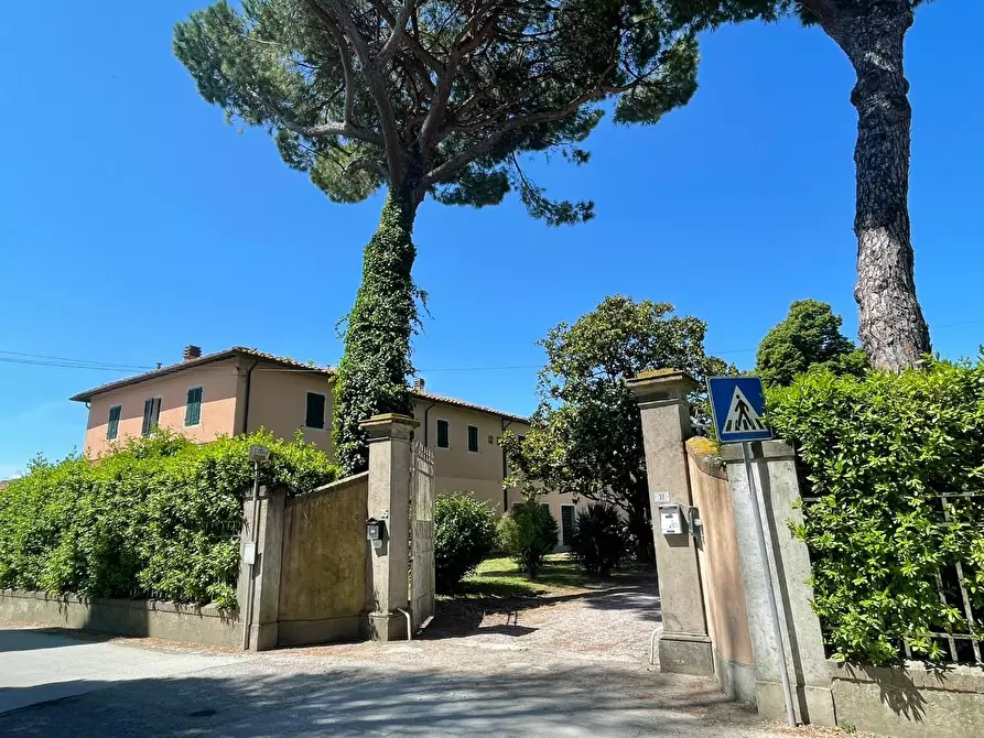 Immagine 88 di Azienda agricola in vendita  a San Miniato