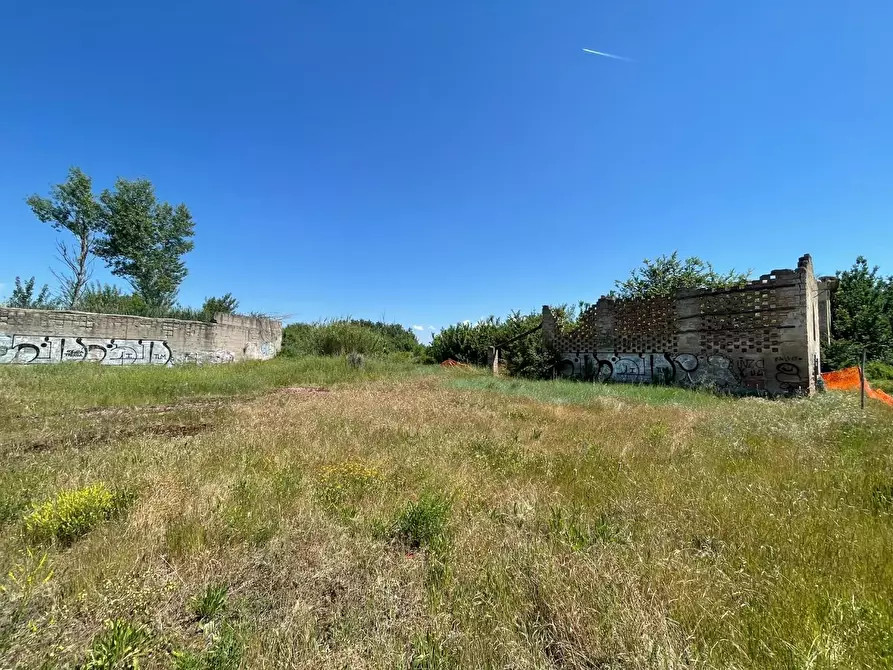 Immagine 103 di Azienda agricola in vendita  a San Miniato