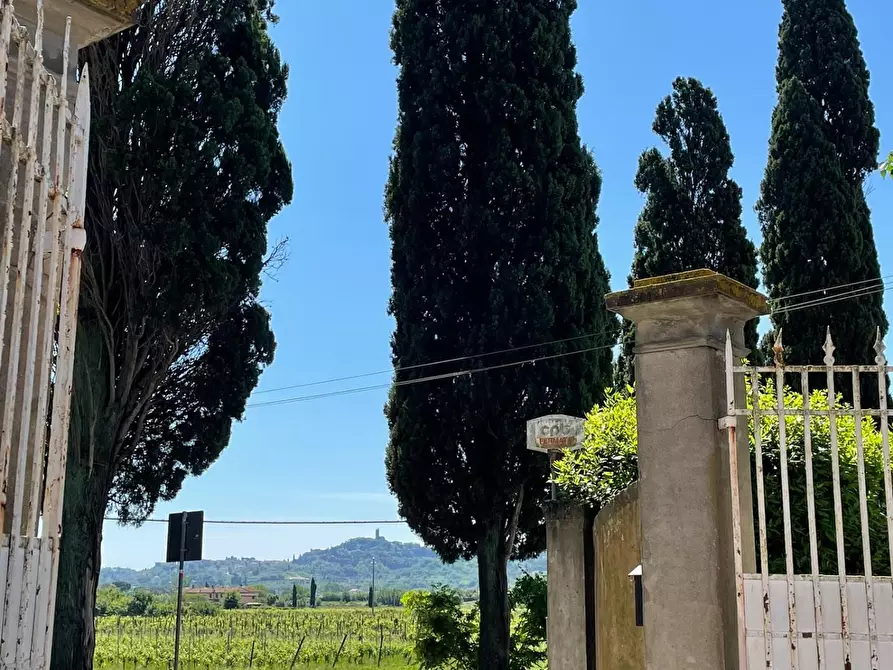 Immagine 91 di Azienda agricola in vendita  a San Miniato