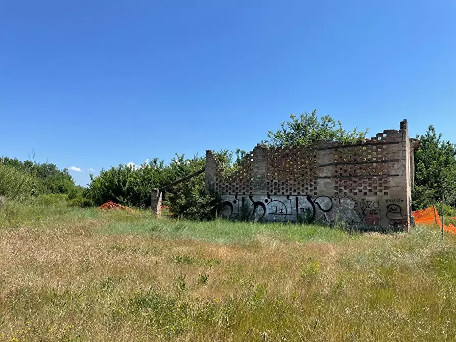 Immagine 102 di Azienda agricola in vendita  a San Miniato