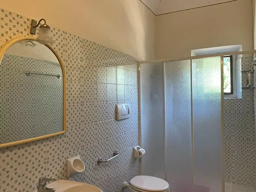 Immagine 24 di Azienda agricola in vendita  a San Miniato