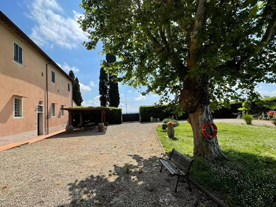 Immagine 45 di Azienda agricola in vendita  a San Miniato
