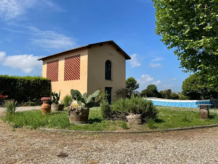 Immagine 42 di Azienda agricola in vendita  a San Miniato