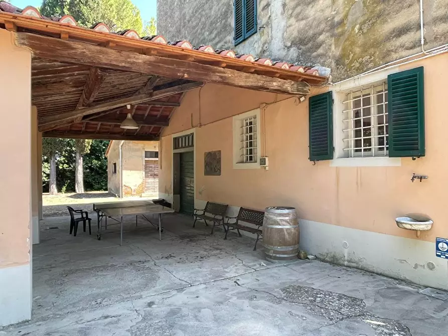 Immagine 17 di Azienda agricola in vendita  a San Miniato