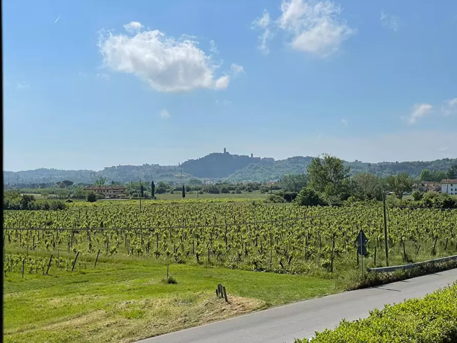 Immagine 61 di Azienda agricola in vendita  a San Miniato