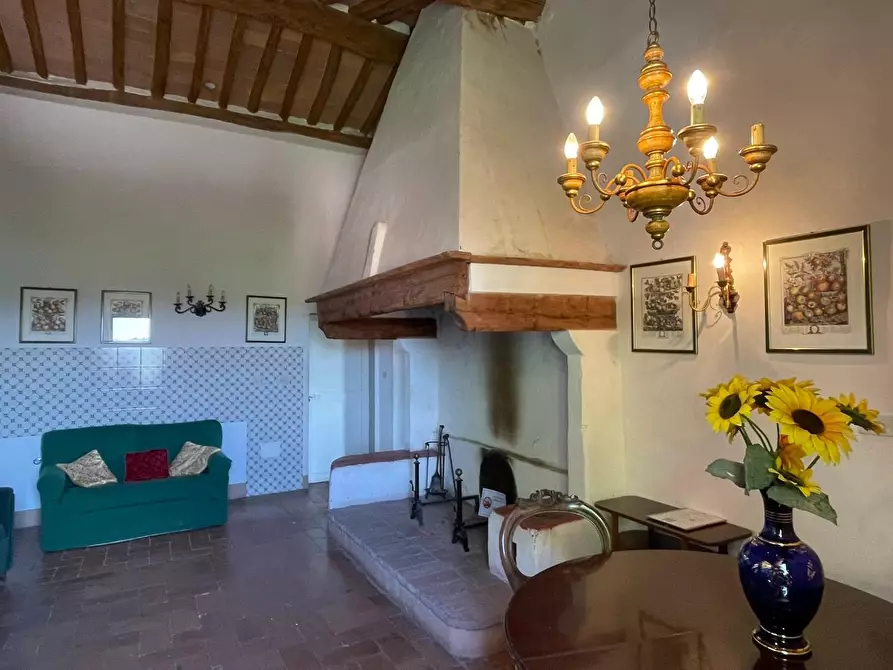 Immagine 58 di Azienda agricola in vendita  a San Miniato