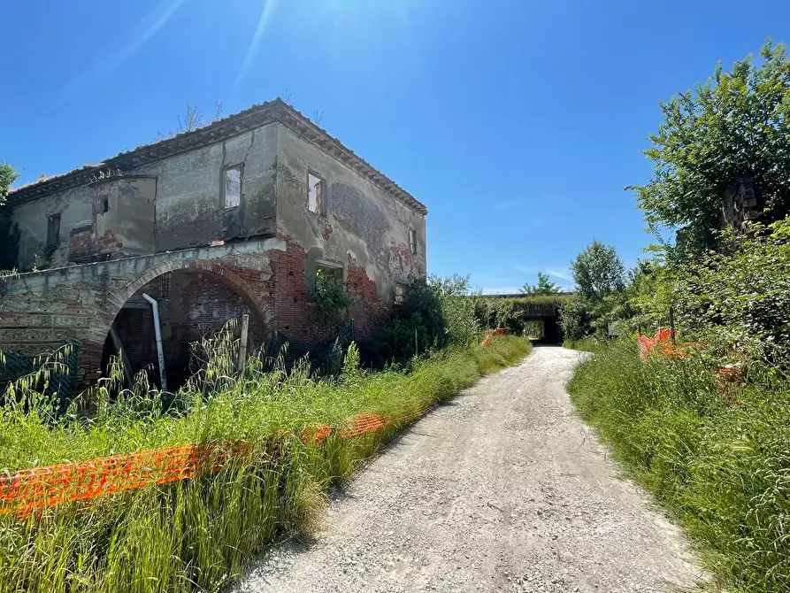 Immagine 105 di Azienda agricola in vendita  a San Miniato