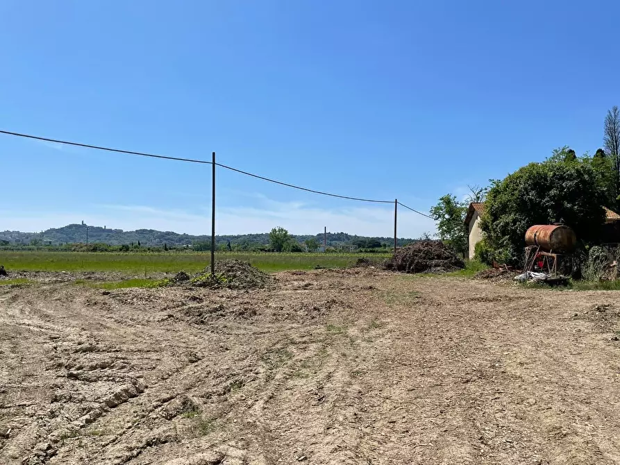 Immagine 97 di Azienda agricola in vendita  a San Miniato