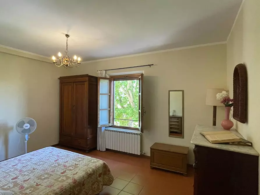 Immagine 36 di Azienda agricola in vendita  a San Miniato