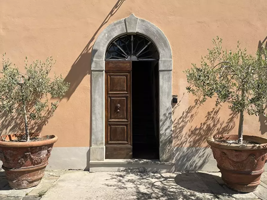 Immagine 7 di Azienda agricola in vendita  a San Miniato