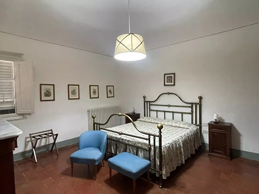 Immagine 23 di Azienda agricola in vendita  a San Miniato