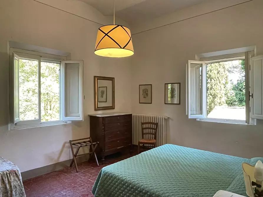 Immagine 27 di Azienda agricola in vendita  a San Miniato