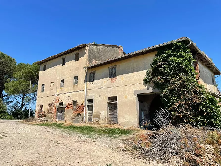 Immagine 98 di Azienda agricola in vendita  a San Miniato