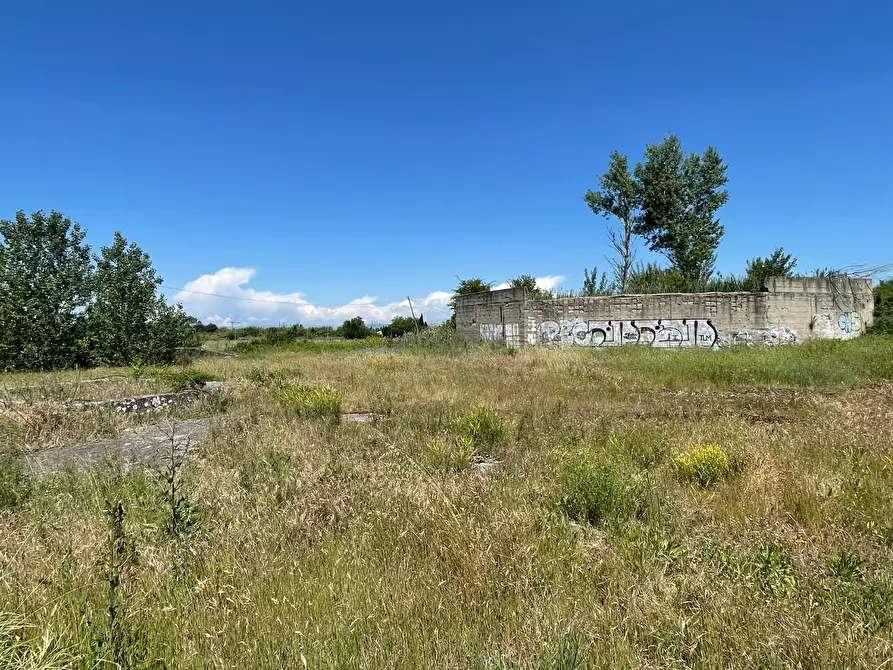 Immagine 101 di Azienda agricola in vendita  a San Miniato