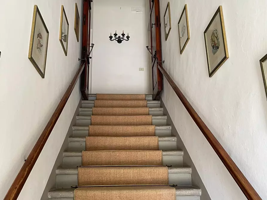 Immagine 20 di Azienda agricola in vendita  a San Miniato