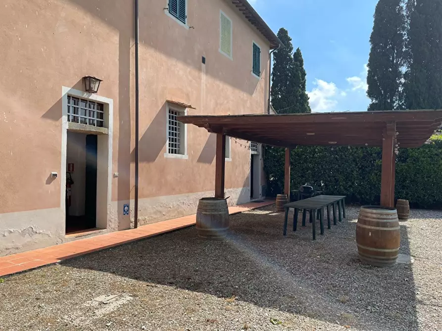 Immagine 46 di Azienda agricola in vendita  a San Miniato