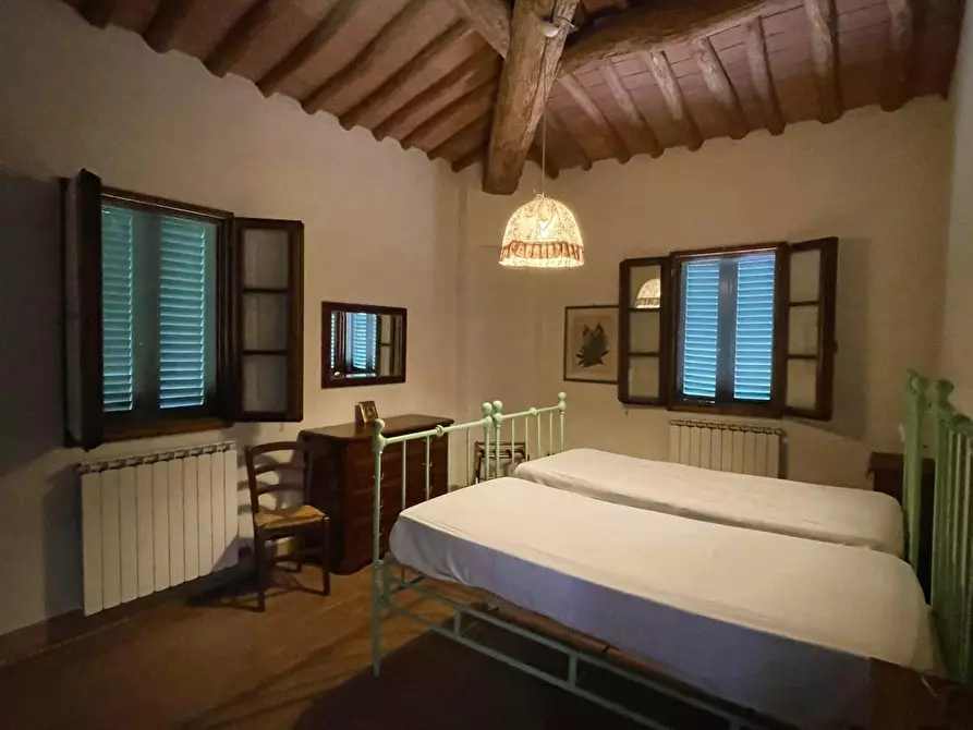 Immagine 66 di Azienda agricola in vendita  a San Miniato