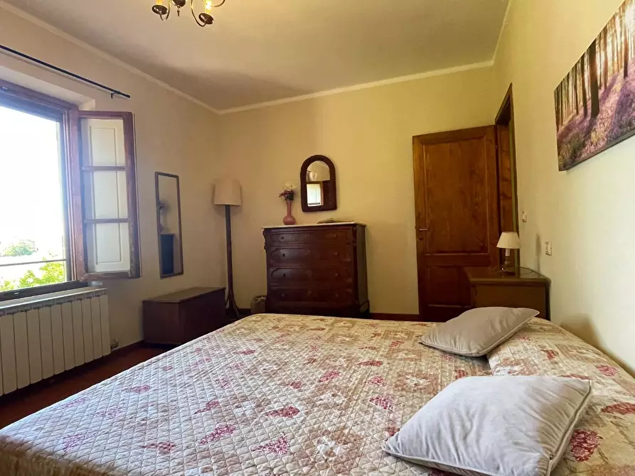 Immagine 37 di Azienda agricola in vendita  a San Miniato