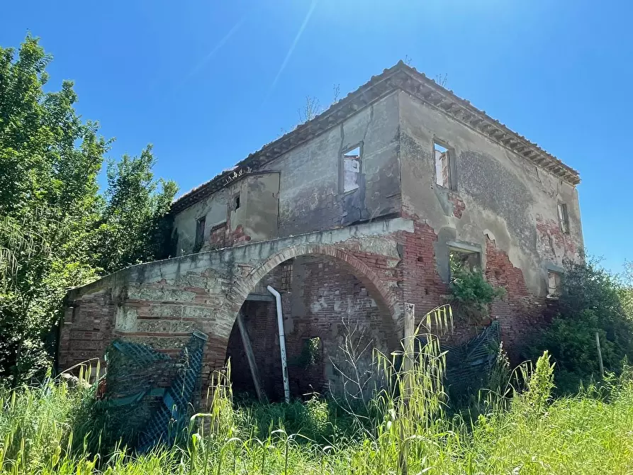 Immagine 106 di Azienda agricola in vendita  a San Miniato