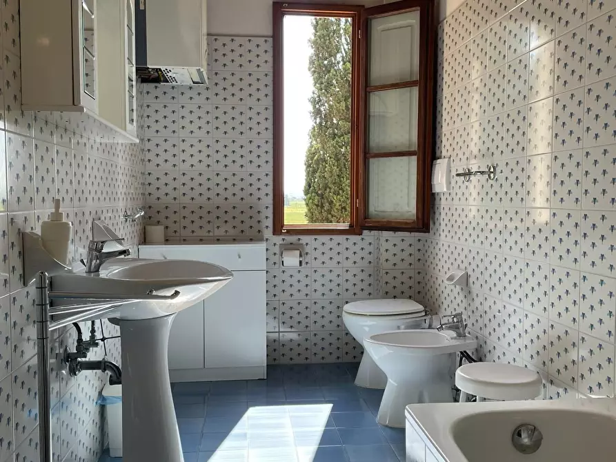 Immagine 65 di Azienda agricola in vendita  a San Miniato