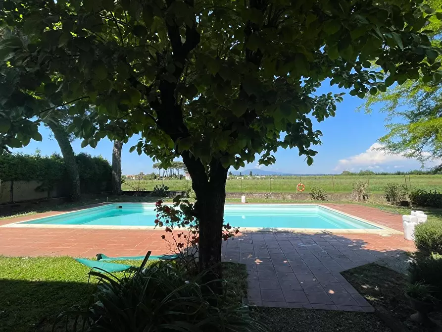 Immagine 84 di Azienda agricola in vendita  a San Miniato