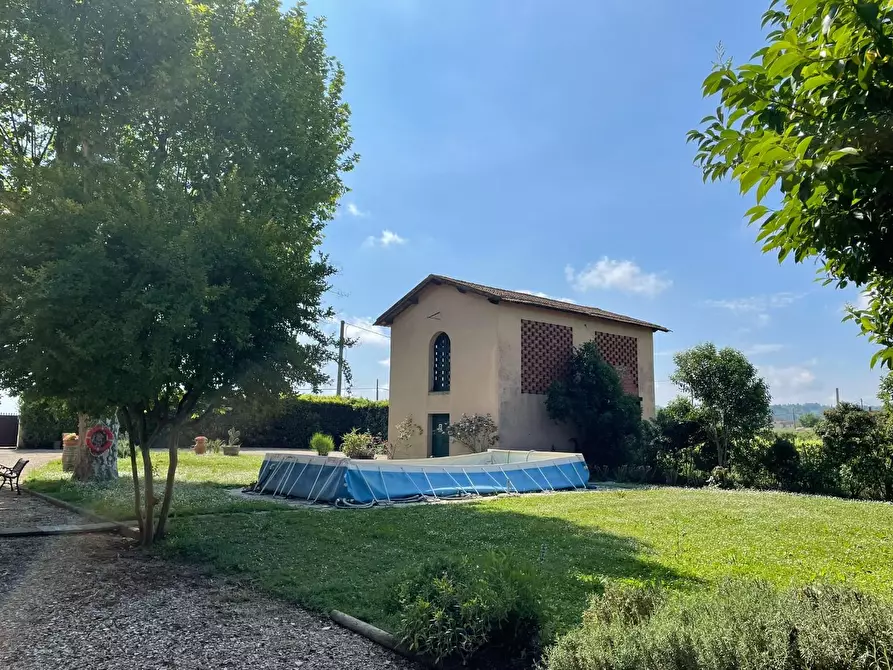 Immagine 44 di Azienda agricola in vendita  a San Miniato