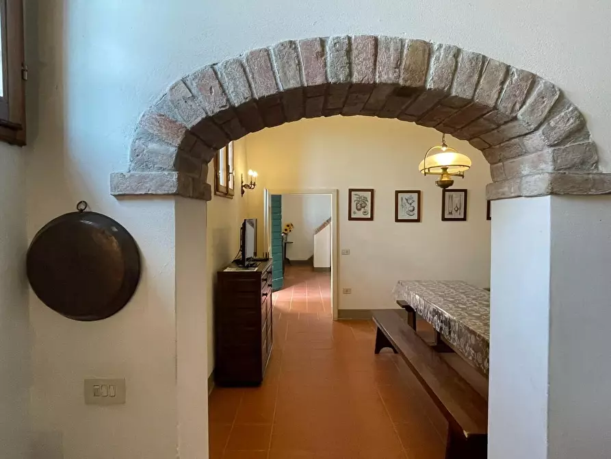 Immagine 52 di Azienda agricola in vendita  a San Miniato