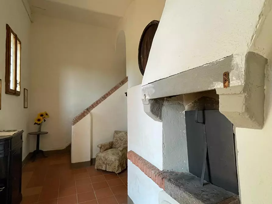 Immagine 54 di Azienda agricola in vendita  a San Miniato