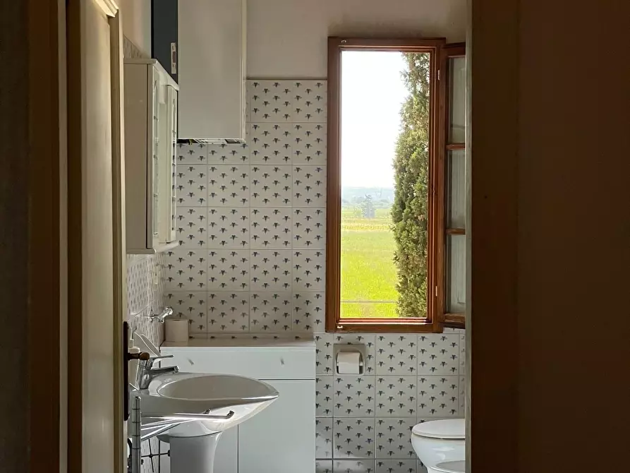 Immagine 62 di Azienda agricola in vendita  a San Miniato