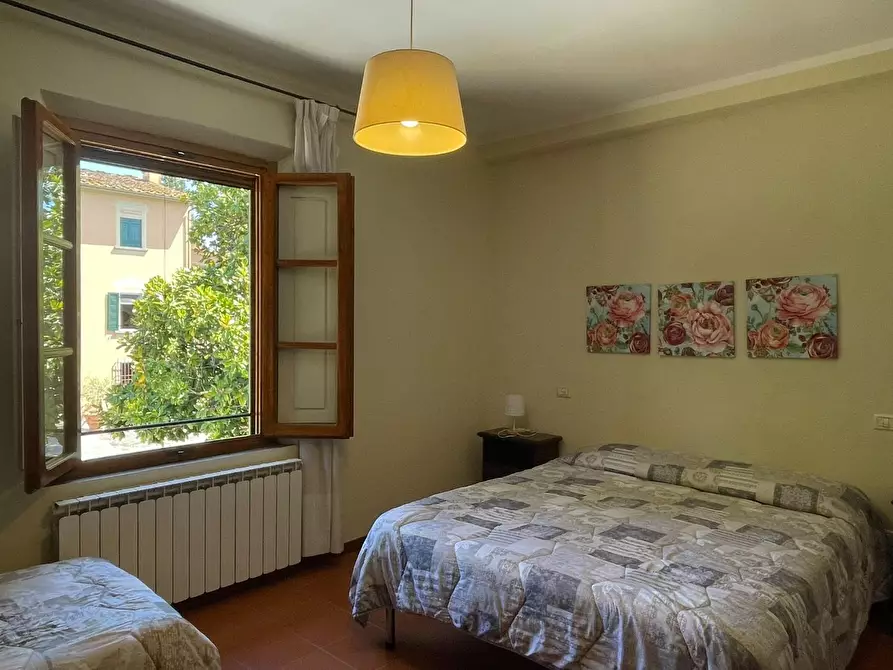 Immagine 32 di Azienda agricola in vendita  a San Miniato