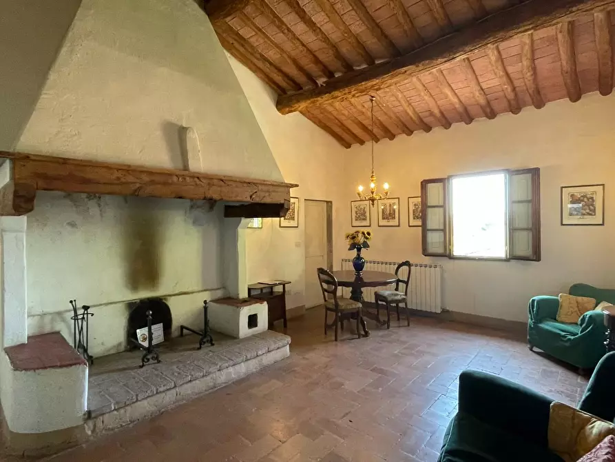 Immagine 60 di Azienda agricola in vendita  a San Miniato
