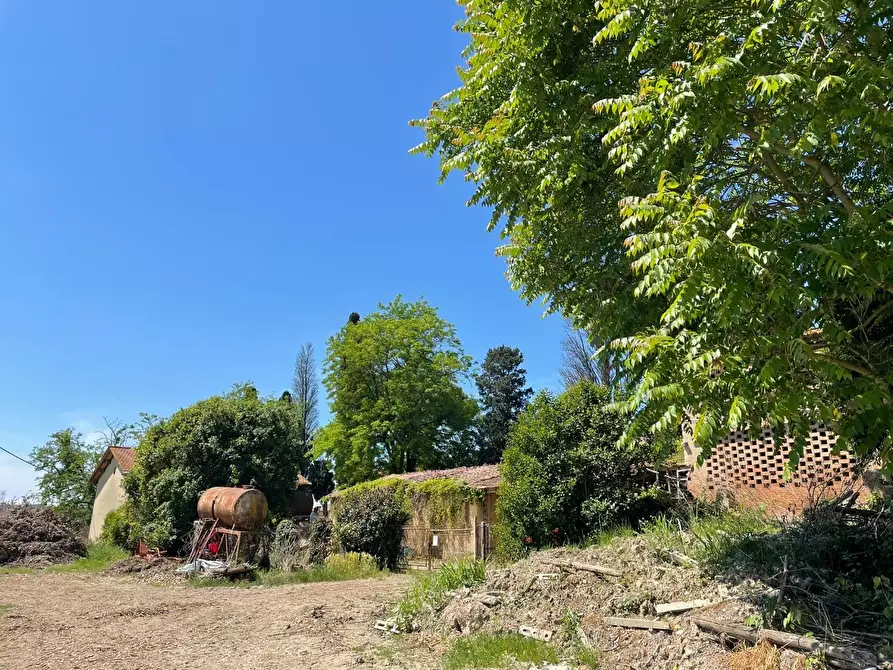 Immagine 96 di Azienda agricola in vendita  a San Miniato