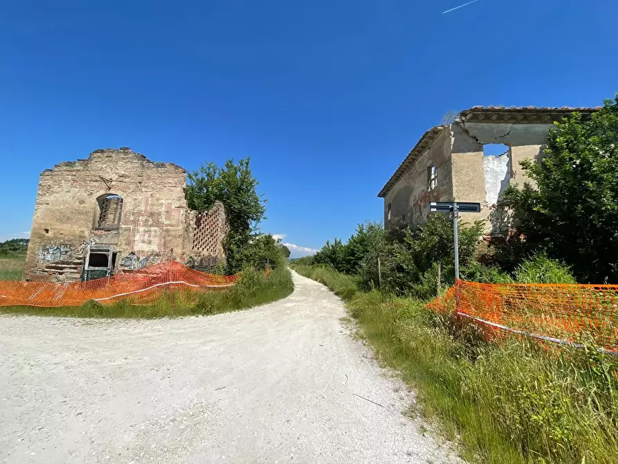 Immagine 104 di Azienda agricola in vendita  a San Miniato
